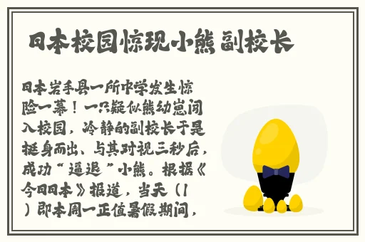 真正不花钱的交友平台
